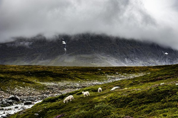 Aventure Globetrotter